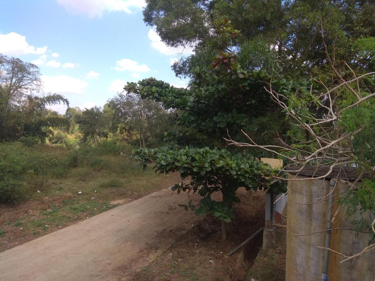 Dreams River View Homestay Coorg Kushālnagar Eksteriør bilde